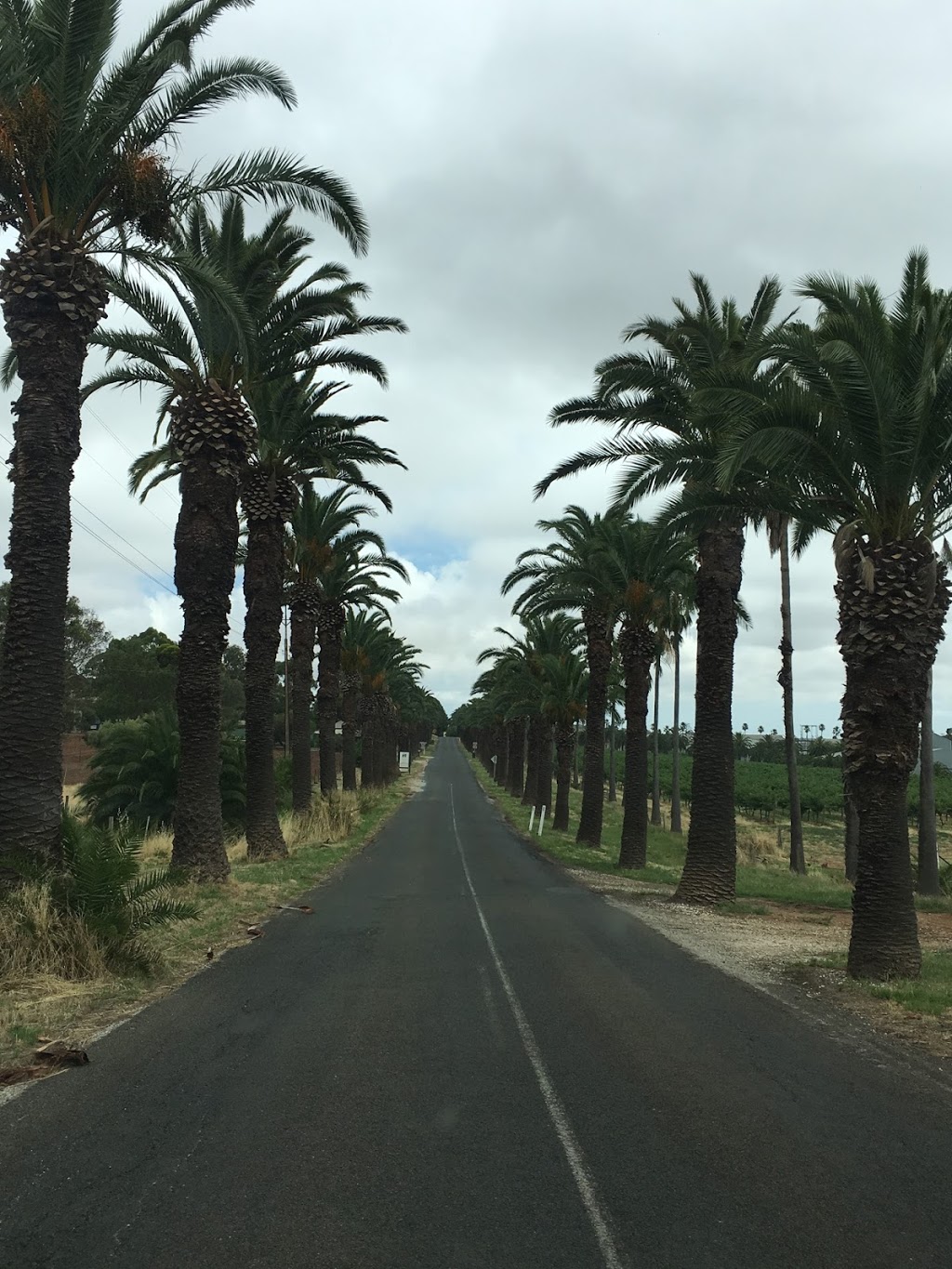 Barossa Valley Tours Adelaide SA Local 100% Family Owned Bums On | 36 Wallala Ave, Park Holme SA 5043, Australia | Phone: 0438 808 253