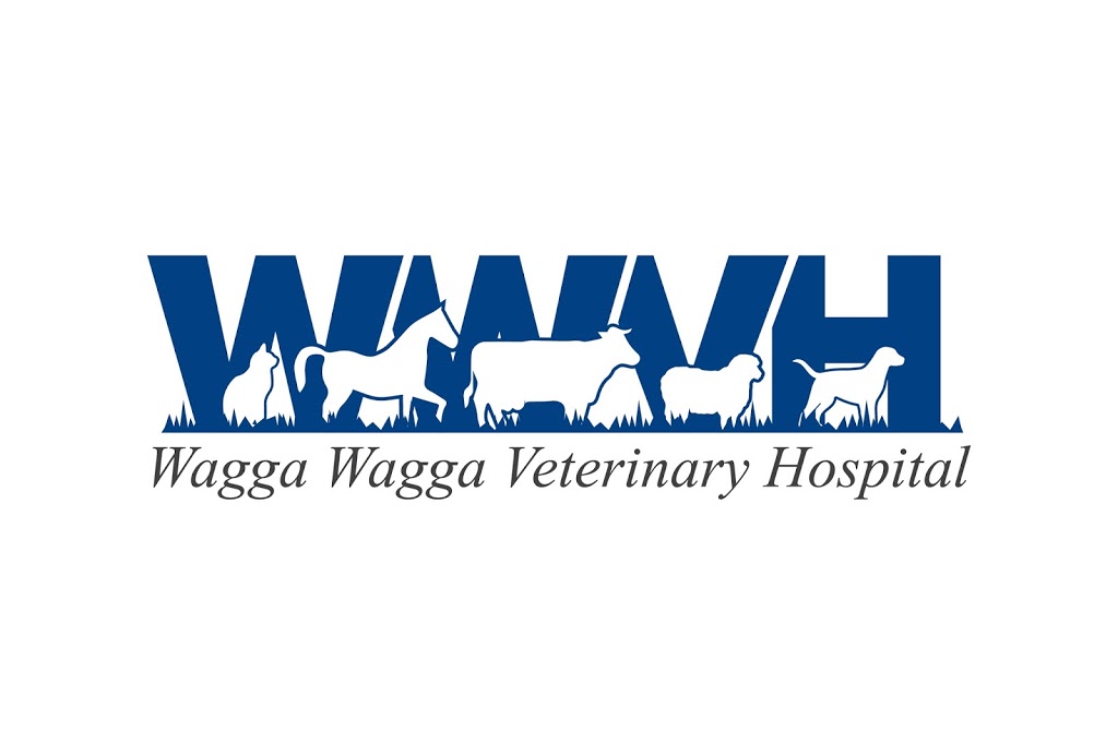 Wagga Wagga Veterinary Hospital | 140 Broadway St, Junee NSW 2663, Australia | Phone: (02) 6924 1212