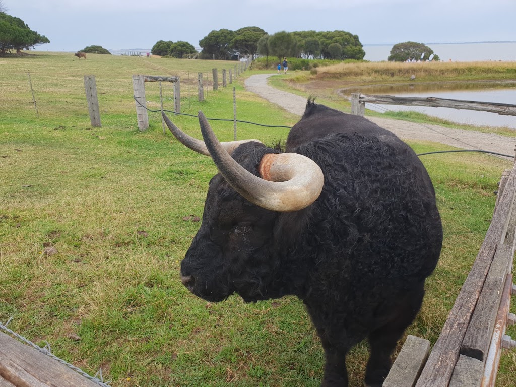 Phillip Island Parkrun | Heritage Farm, Churchill Island VIC 3925, Australia