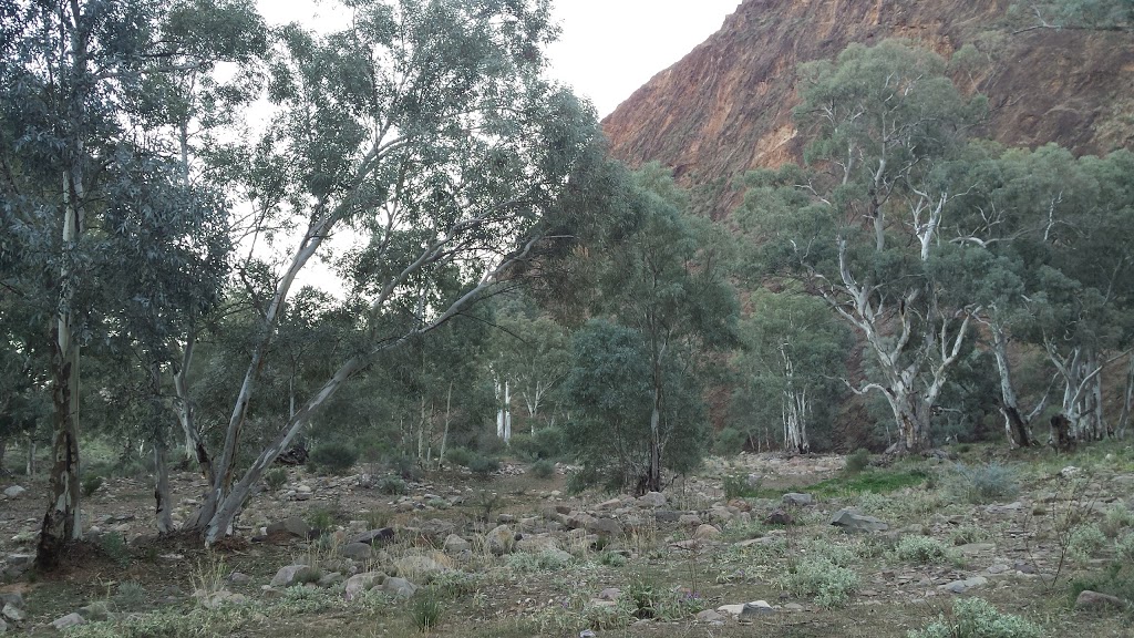 Parachilna Gorge Camp Ground | Alpana SA 5730, Australia