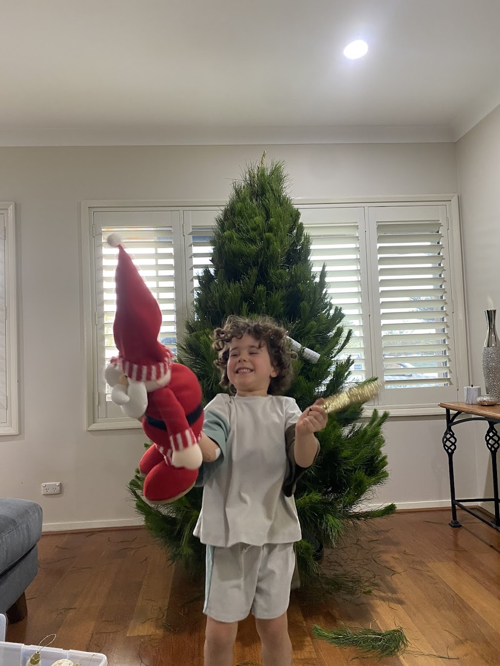 Jack Frost Christmas Tree Deliveries | 8 Berry St, Cronulla NSW 2230, Australia | Phone: 0480 221 440
