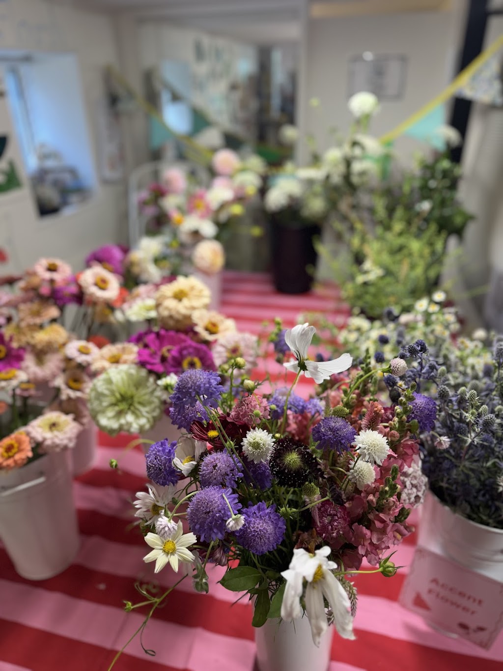 Macadamia floral farm | 52 Macadamia Dr, Laceys Creek QLD 4521, Australia | Phone: 0414 994 446