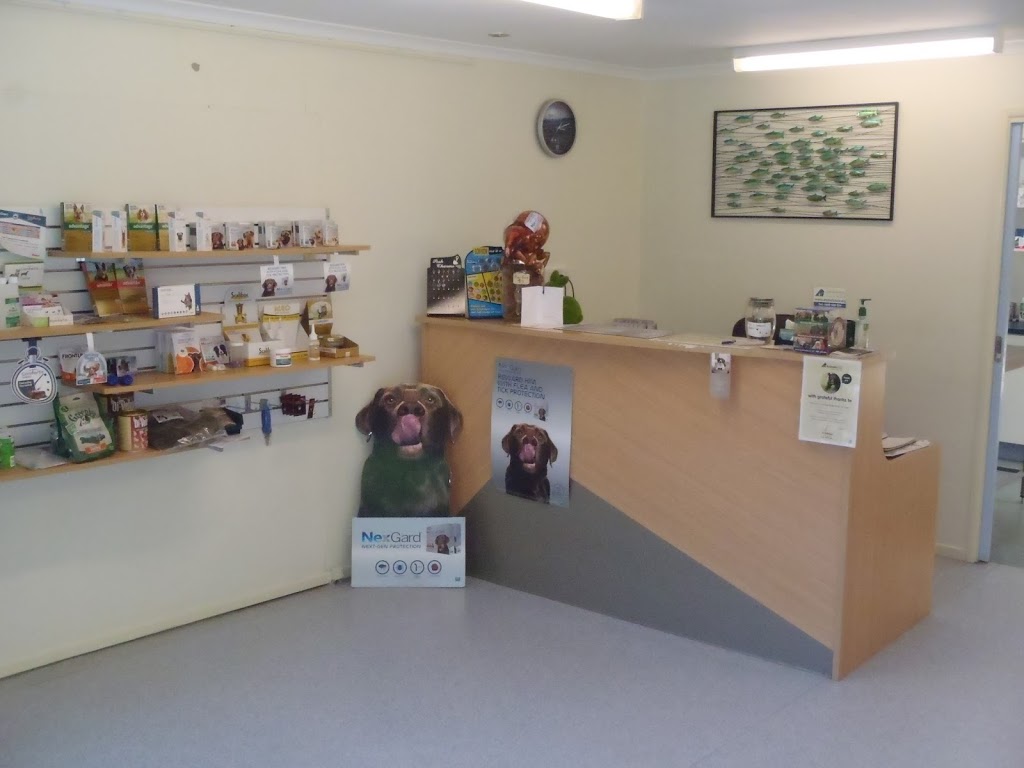 Sunshine Hinterland Veterinary Clinic, Nambour | veterinary care | 19 Mathew St, Nambour QLD 4560, Australia | 0754413022 OR +61 7 5441 3022