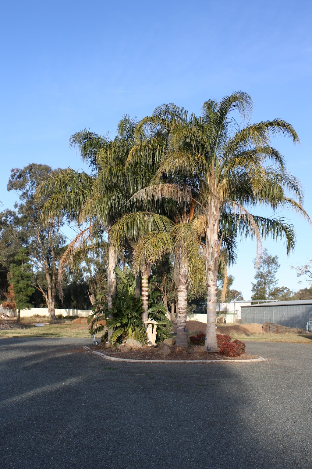Temora Motel | lodging | 23-25 Junee Road (Goldfields Way), Temora NSW 2666, Australia | 0269771866 OR +61 2 6977 1866