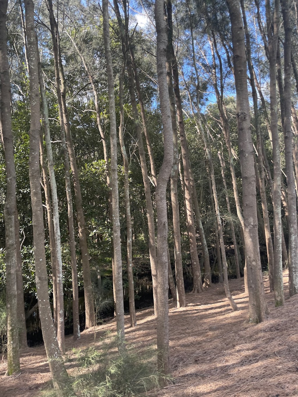 Education Centre Shade Sail |  | Sydney Olympic Park NSW 2127, Australia | 0297147888 OR +61 2 9714 7888