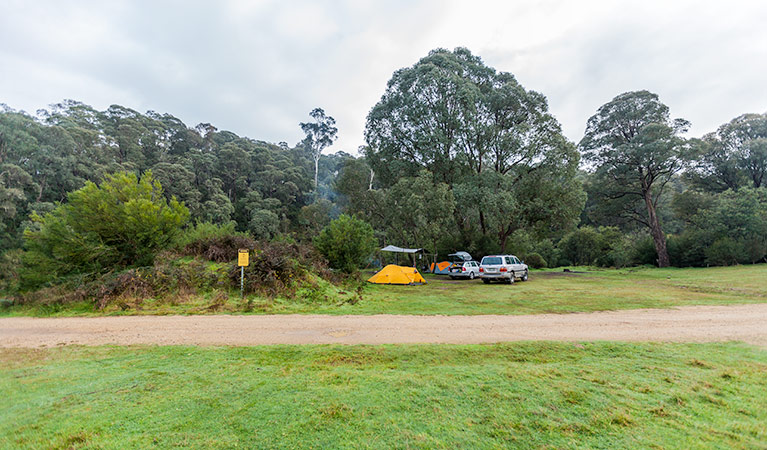 Tom Groggin campground | The Bicentennial National Trail, Murray Gorge NSW 2642, Australia | Phone: (02) 6076 9373