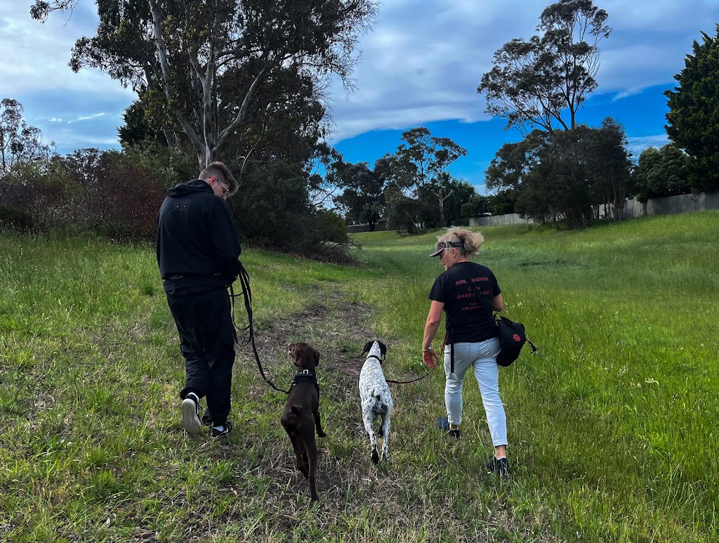 Lidias Dog Training | 26R Naranga Cres, Frankston VIC 3199, Australia | Phone: 0402 522 421