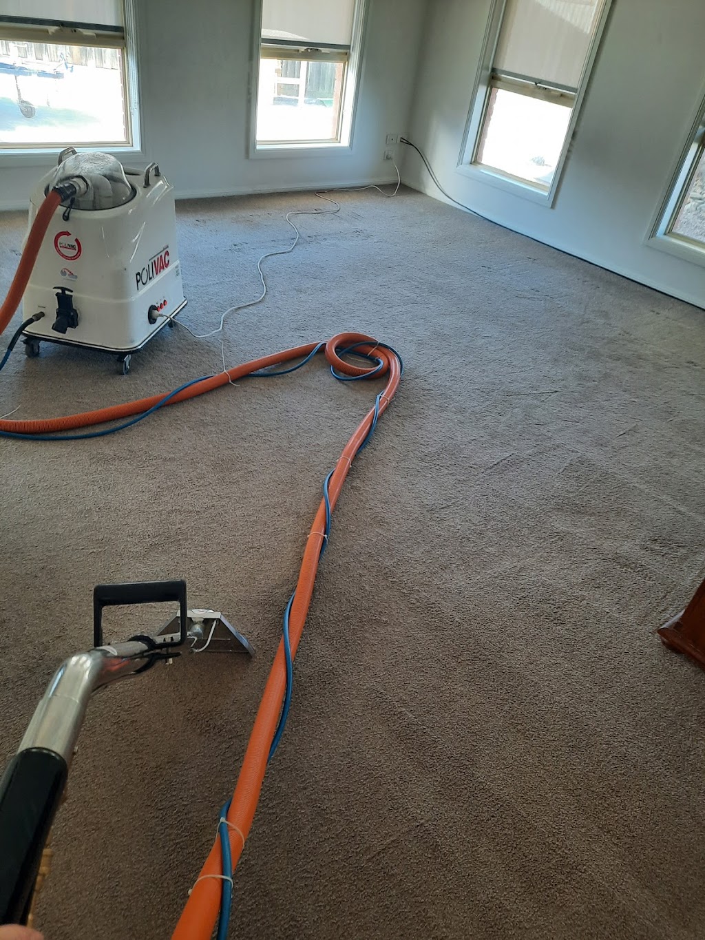 JJs Carpet & Tile Cleaning | laundry | 40 Kansas Ave, Bell Post Hill VIC 3215, Australia | 0424636079 OR +61 424 636 079