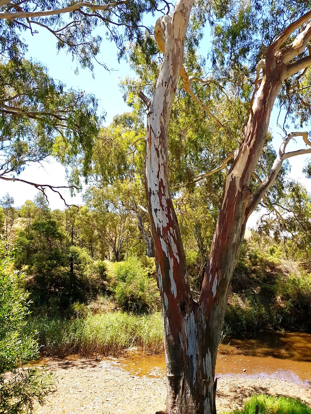 Rupert Vance Moon Reserve | park | 659 Bacchus Marsh Rd, Bacchus Marsh VIC 3340, Australia