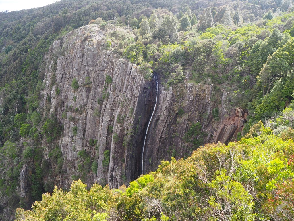 Mount Victoria Forest Reserve | park | Tasmania, Australia