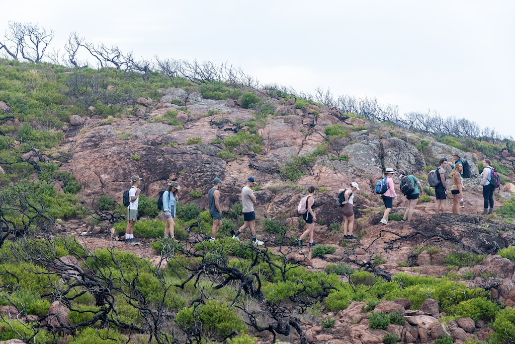 Wild Light Experiences | Shoal Bay Rd, Nelson Bay NSW 2315, Australia | Phone: 0411 697 202