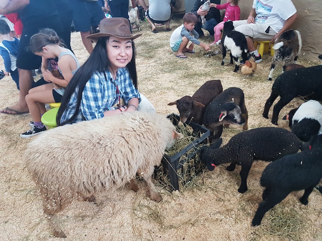 Mt Gravatt A H & I Society | 1644 Logan Rd, Mount Gravatt, Brisbane QLD 4122, Australia | Phone: (07) 3349 1801