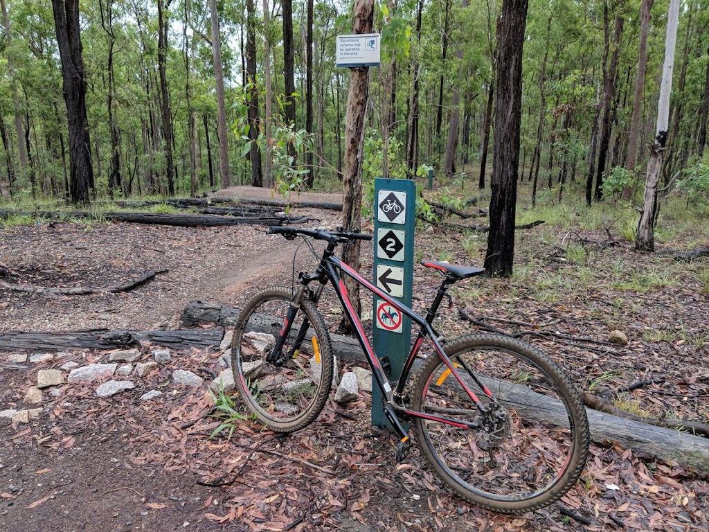 Bunyaville Conservation Park | Old Northern Rd, Albany Creek QLD 4035, Australia | Phone: 13 74 68