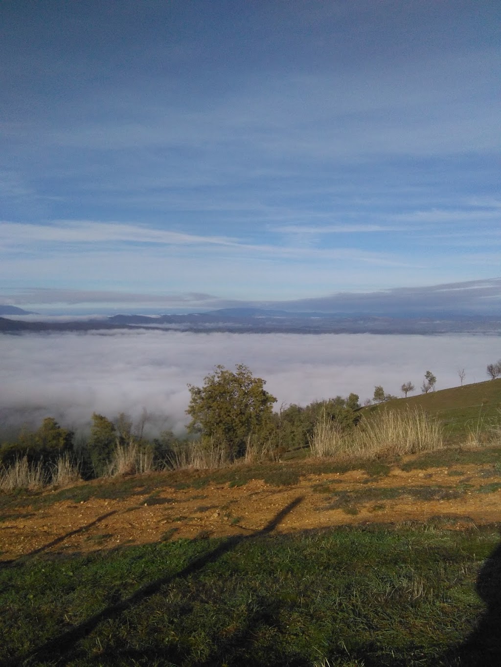 Fighting Gully Road | Vineyard: 203 Fighting Gully Road Winery:, Mayday Hills, 13 Kurrajong Way, Beechworth VIC 3747, Australia | Phone: 0407 261 373