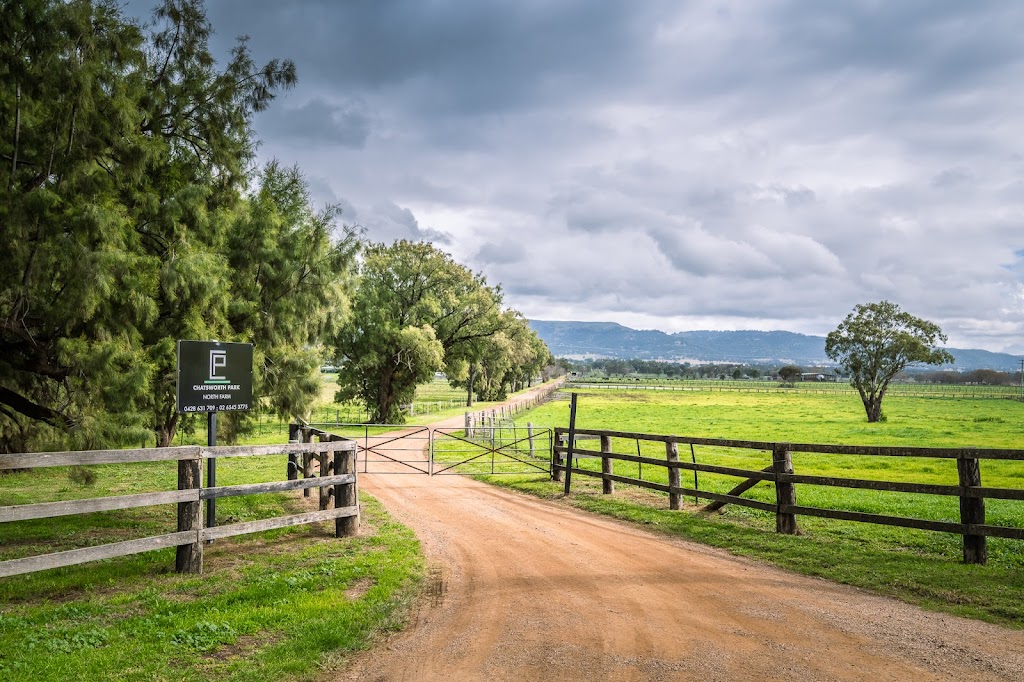 Chatsworth Park | Cliftlands Rd, Scone NSW 2337, Australia | Phone: 0428 631 709