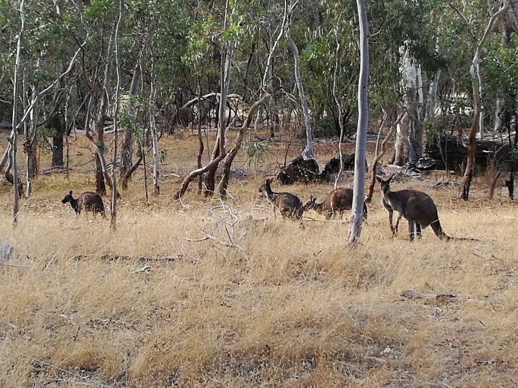 Belair National Park | Upper Sturt Rd, Belair SA 5052, Australia | Phone: (08) 8278 5477