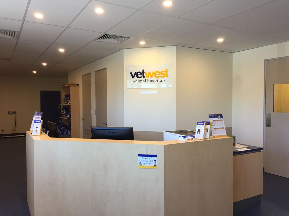 Vetwest Animal Hospitals Ellenbrook | veterinary care | 11 Main St, Ellenbrook WA 6069, Australia | 0894041180 OR +61 8 9404 1180