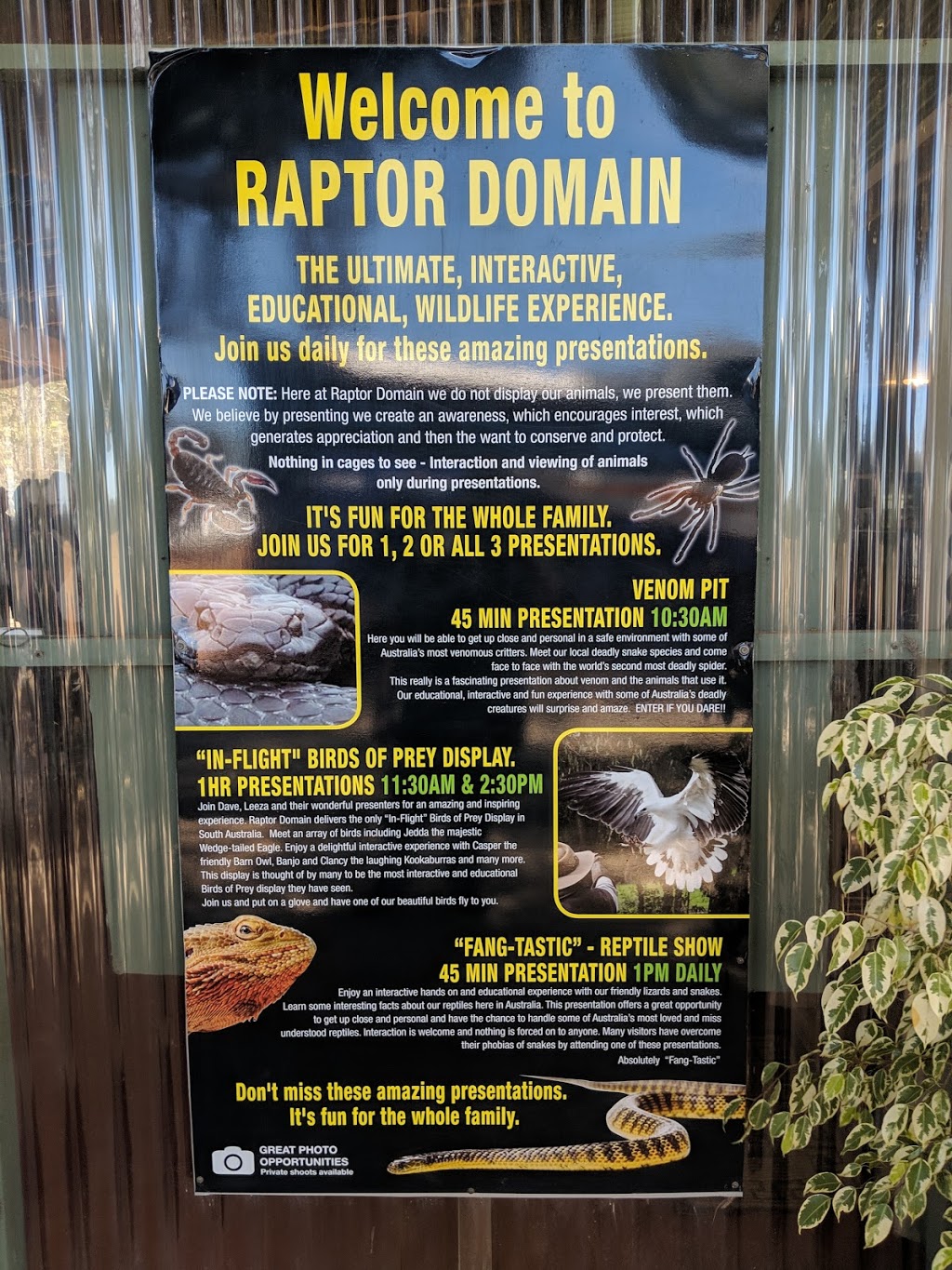 Raptor Domain | park | 58 Seal Bay Rd, Seal Bay SA 5223, Australia | 0885595108 OR +61 8 8559 5108