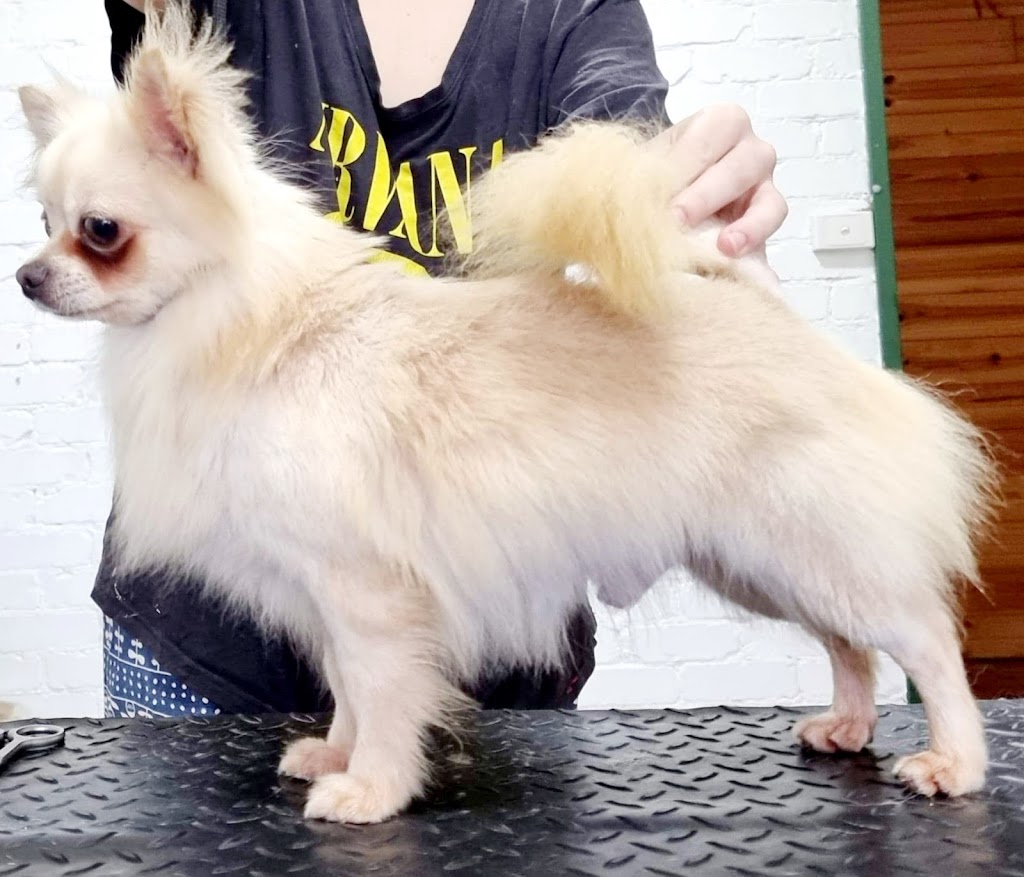 Valhalla Dog Grooming | 26 Rees James Rd, Raymond Terrace NSW 2324, Australia | Phone: 0403 564 188