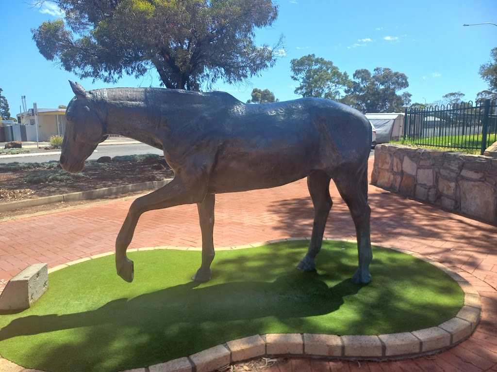 Norseman Free RV Site | Richardson St &, Mildura St, Norseman WA 6443, Australia | Phone: (08) 9039 1205