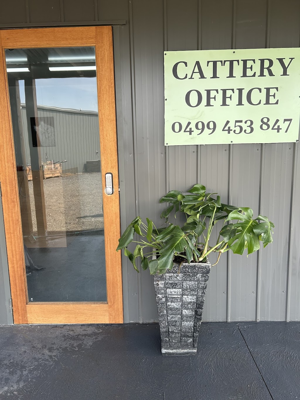 Cardinia Cattery | 200 Bladens Rd, Koo Wee Rup VIC 3981, Australia | Phone: 0499 453 847