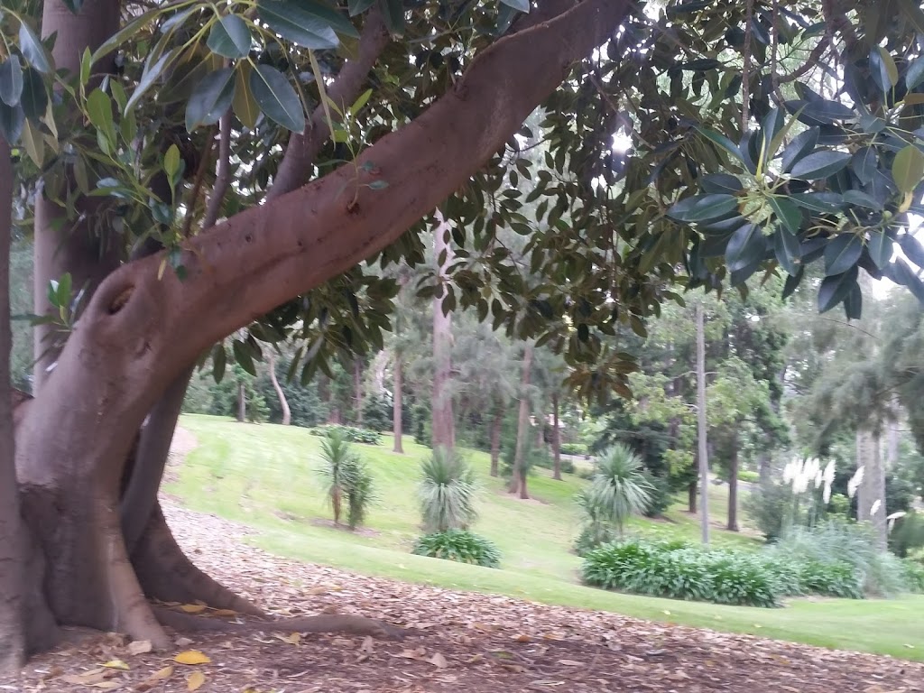 Morton Bay Fig Bed | park | Government House Dr, Melbourne VIC 3004, Australia