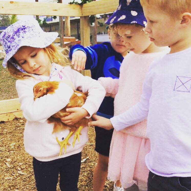 Indigo Early Learning Centre | school | 41F Bellevue Rd, Forresters Beach NSW 2260, Australia | 0243858545 OR +61 2 4385 8545