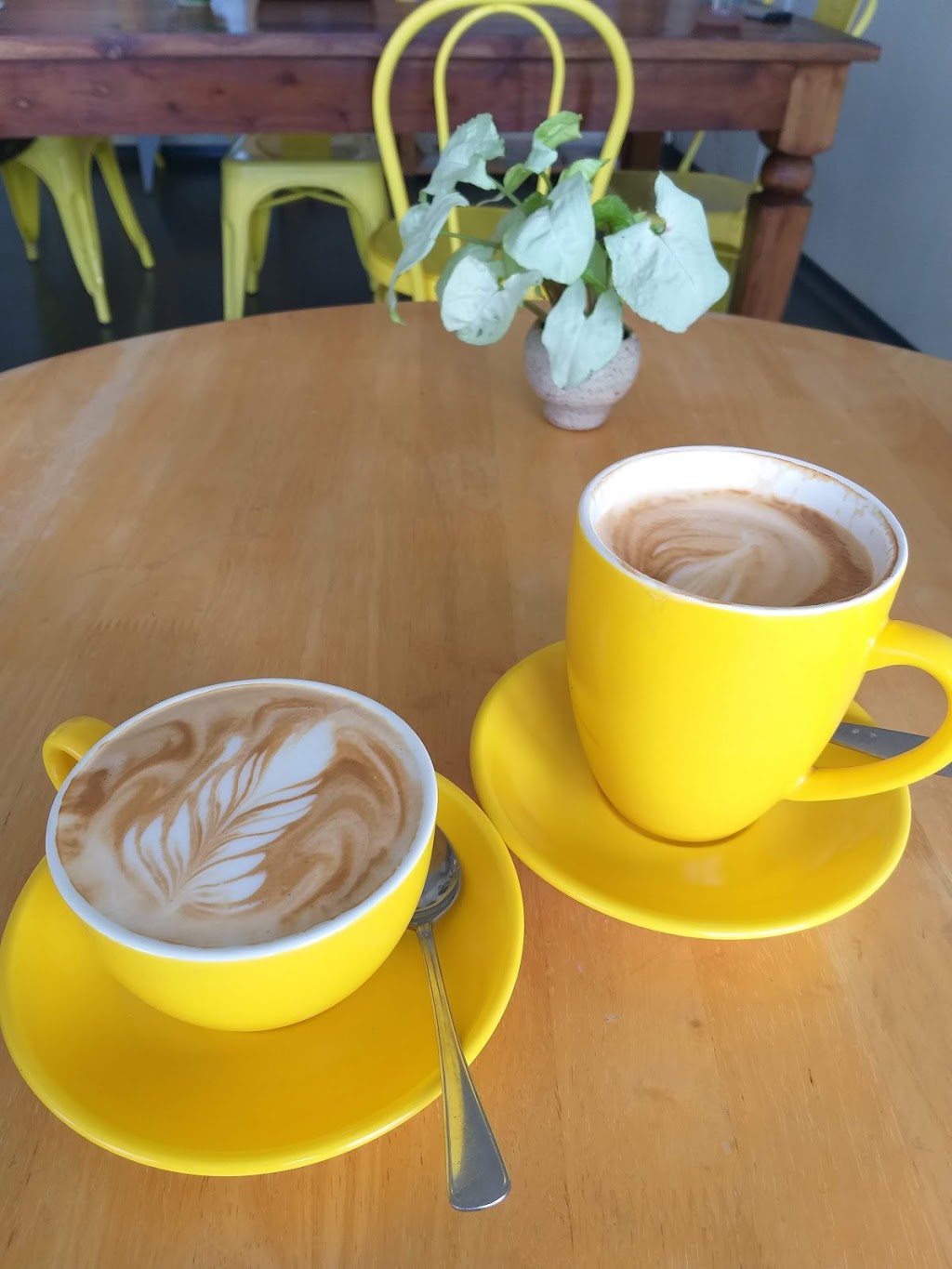 Kin Coffee Co. | cafe | 111 Emmadale Dr, New Auckland QLD 4680, Australia | 0474250720 OR +61 474 250 720
