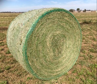 Carram Dale Farm Hay & Grain Sales Doug Jennings | Jennings Rd, Baringhup VIC 3463, Australia | Phone: 0419 282 811