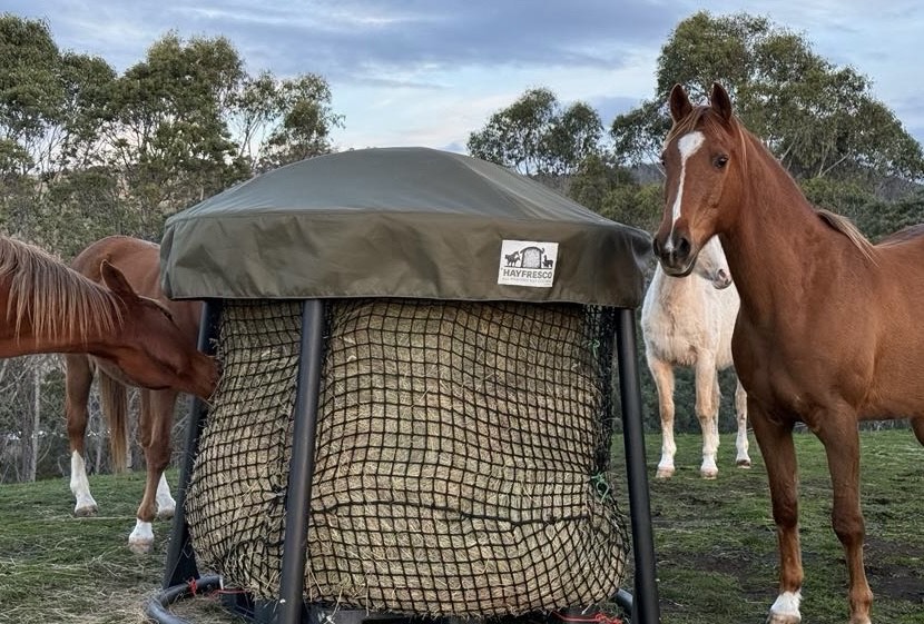 HayFresco Pty Ltd | 15 Cooks Rd, Nubeena TAS 7184, Australia | Phone: 0439 842 442