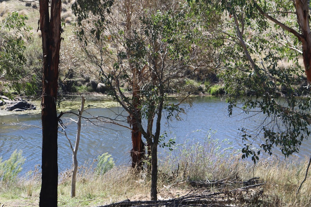 Bombala Platypus Reserve | park | Delegate Rd, Bombala NSW 2632, Australia | 0264584622 OR +61 2 6458 4622