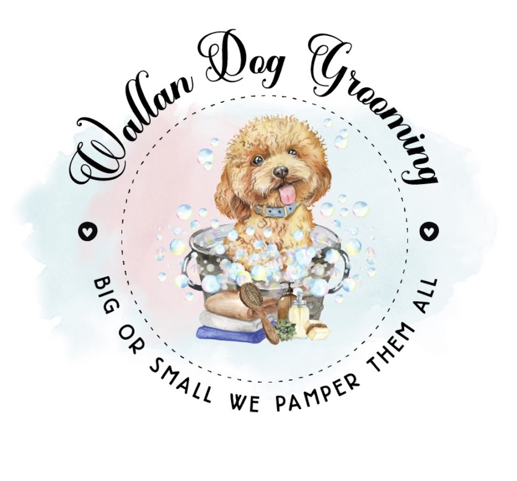 Wallan Dog Grooming | 2/11 Raglan St, Wallan VIC 3756, Australia | Phone: 0432 247 783