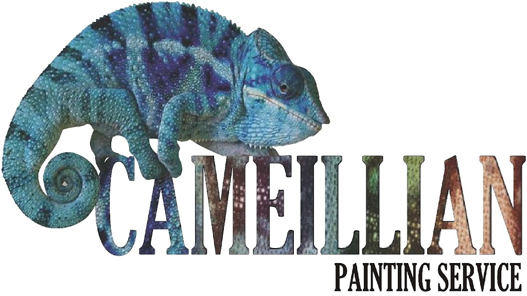 Cameillian Painting Service | 25 Bunga St, Bermagui NSW 2546, Australia | Phone: 0431 064 843