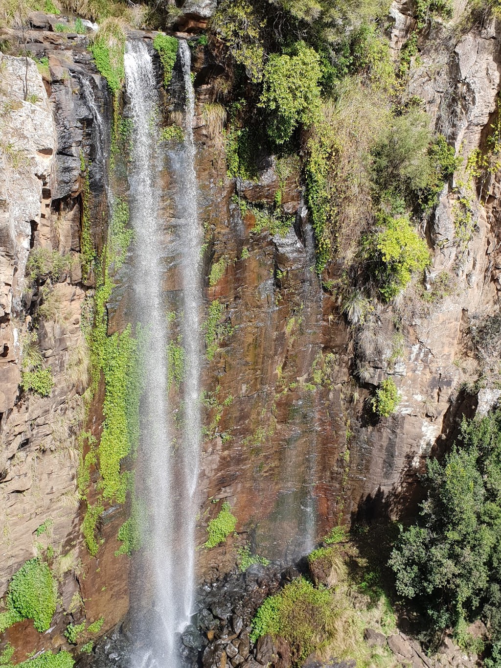 Queen Mary Falls | Spring Creek Rd, The Falls QLD 4373, Australia