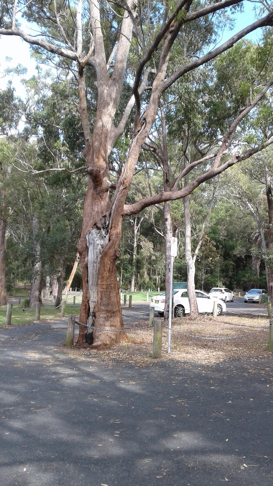 Queens Lake Sailing Club Reserve | 304 Ocean Dr, Lakewood NSW 2443, Australia