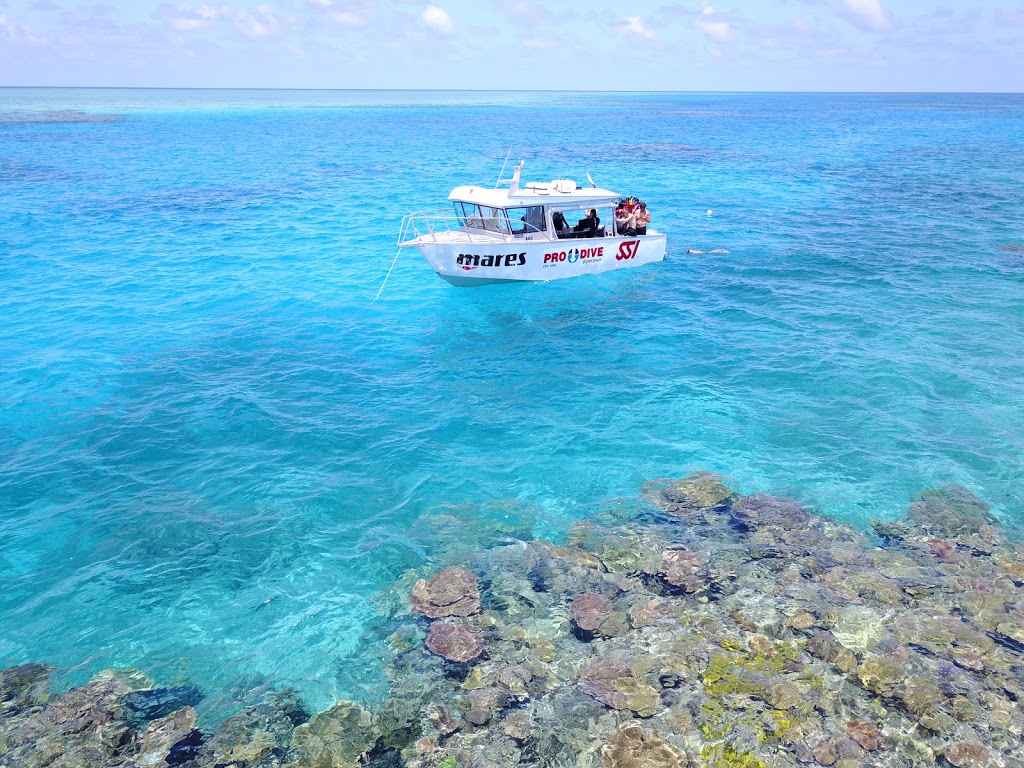 Pro Dive Magnetic Island | 43 Sooning St, Nelly Bay QLD 4819, Australia | Phone: (07) 4778 5506