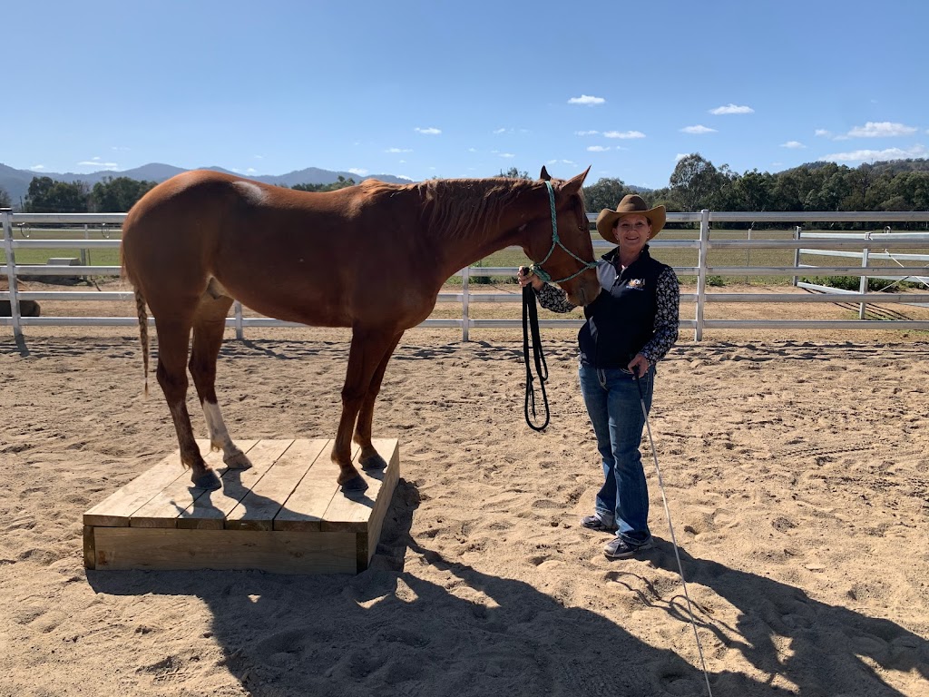 Northern rivers equine assisted confidence coaching | 140 Hogarth Range Rd, Mongogarie NSW 2470, Australia | Phone: 0427 282 303