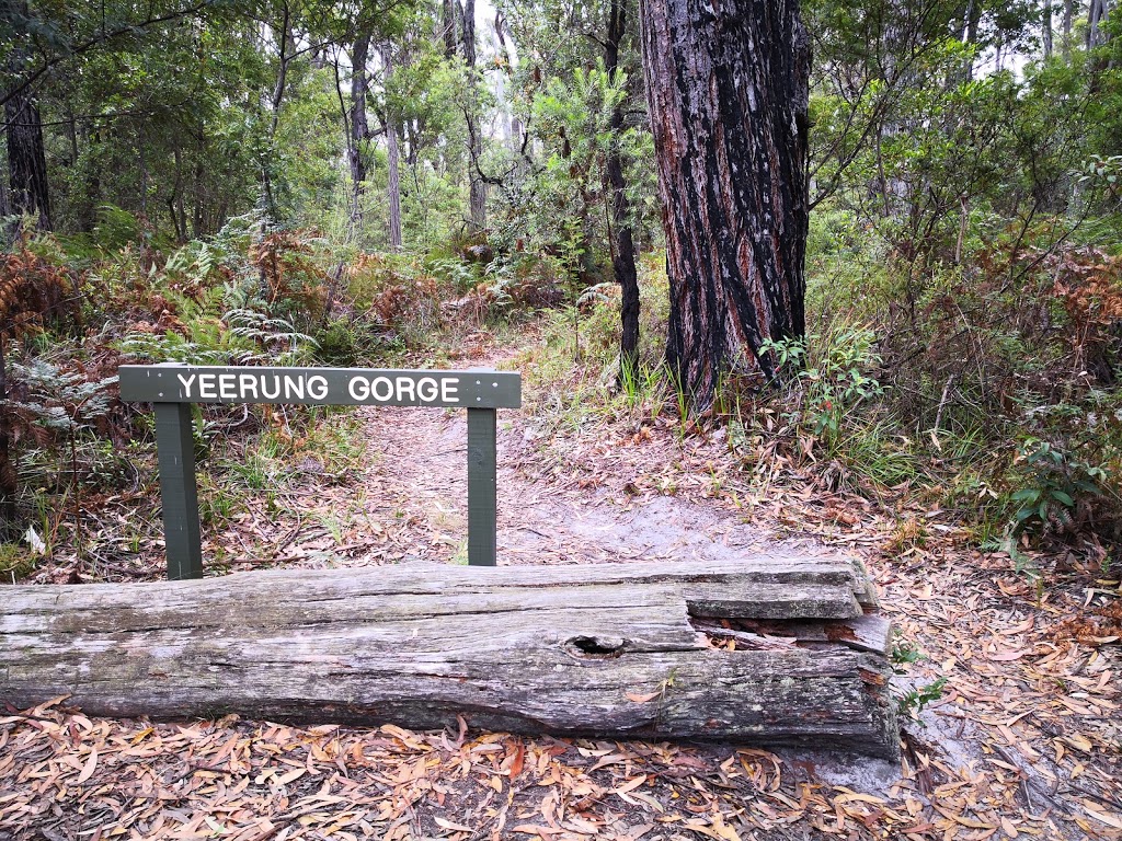 Yeerung Gorge | tourist attraction | Marlo VIC 3888, Australia | 131963 OR +61 131963