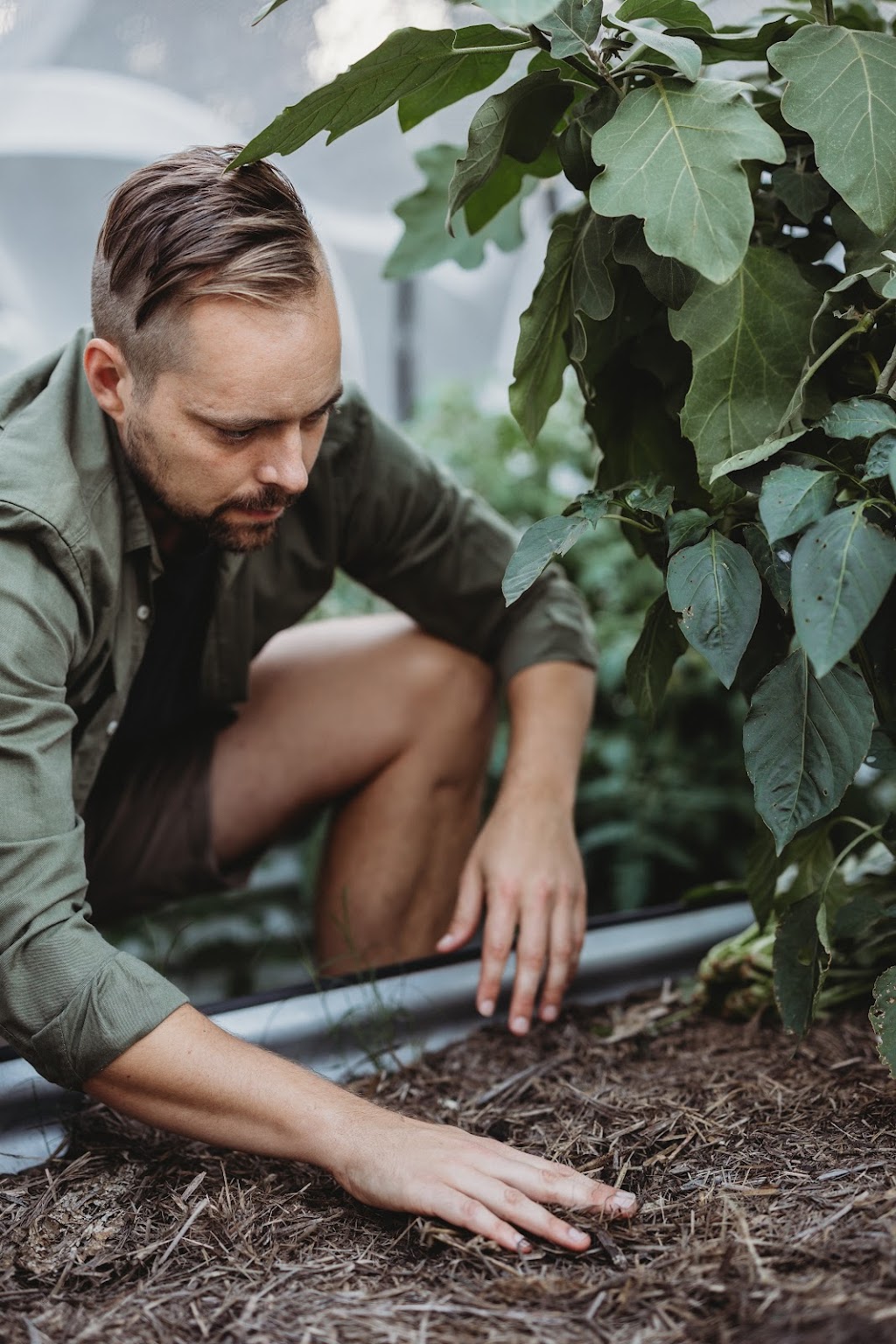 Hampus The Organic Gardener | 3322 Great N Rd, Wollombi NSW 2325, Australia | Phone: 0481 339 233
