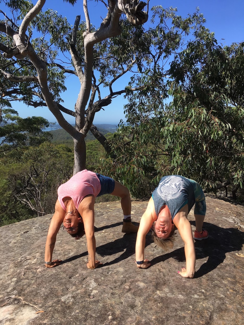 Crystal Healing Yoga - Holistic Healing & Meditation | gym | 15 Featherwood Ave, Cherrybrook NSW 2126, Australia | 0416122915 OR +61 416 122 915