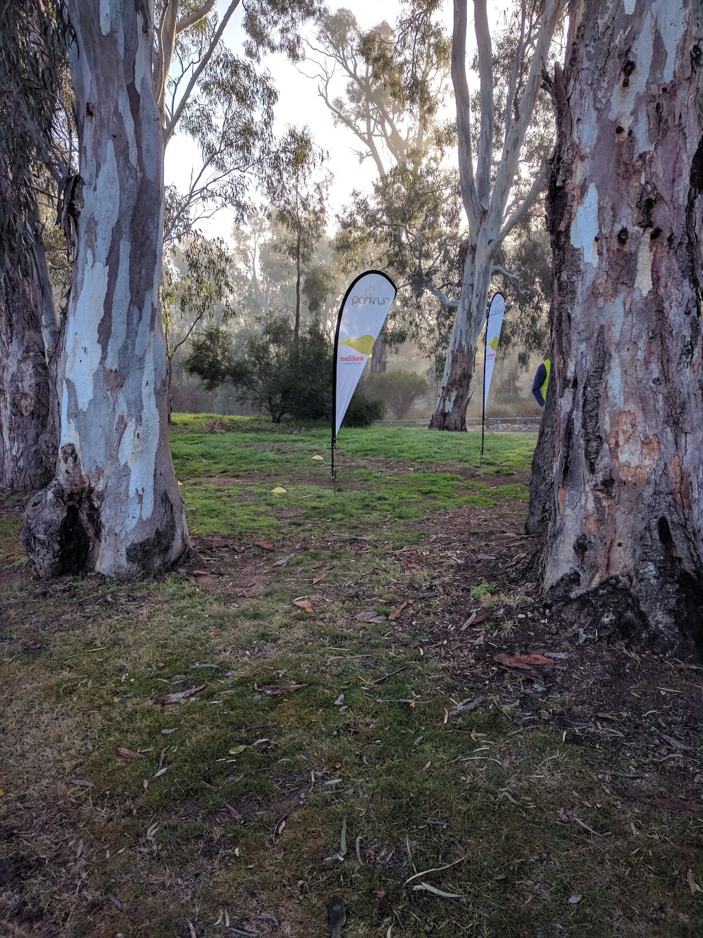 Echuca Moama parkrun | health | Lions Park, Campaspe Esp, Ogilvie Ave, Echuca VIC 3564, Australia