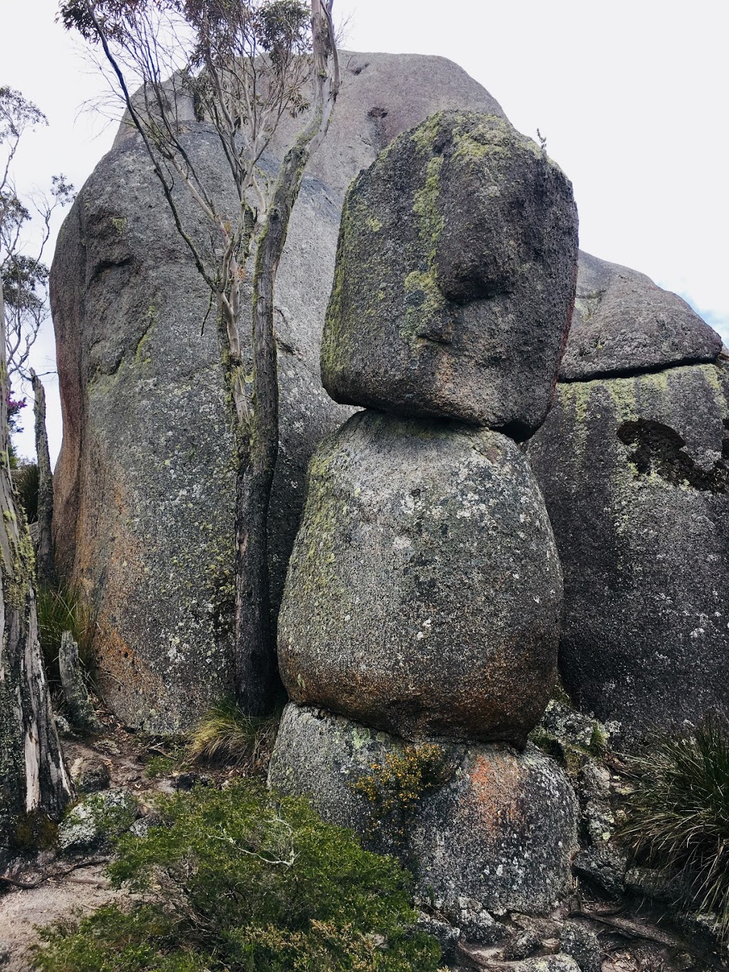 Porongurup National Park | Porongurup Rd, Porongurup WA 6324, Australia | Phone: (08) 9842 4500