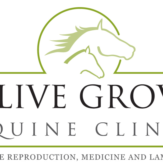 Olive Grove Equine Clinic | 83 Muchea S Rd, Bullsbrook WA 6084, Australia | Phone: (08) 9571 3992