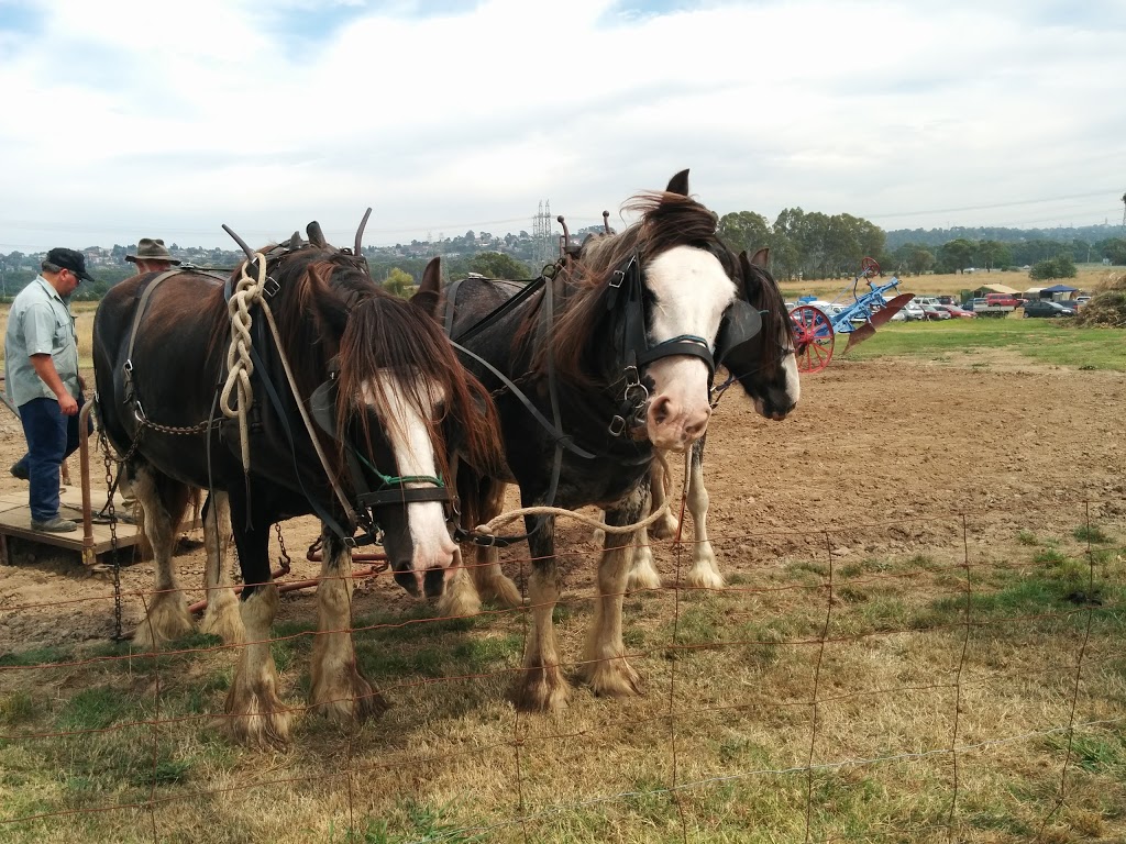 Melbourne Steam Traction Engine Club | museum | 1200 Ferntree Gully Rd, Scoresby VIC 3179, Australia | 0397631614 OR +61 3 9763 1614