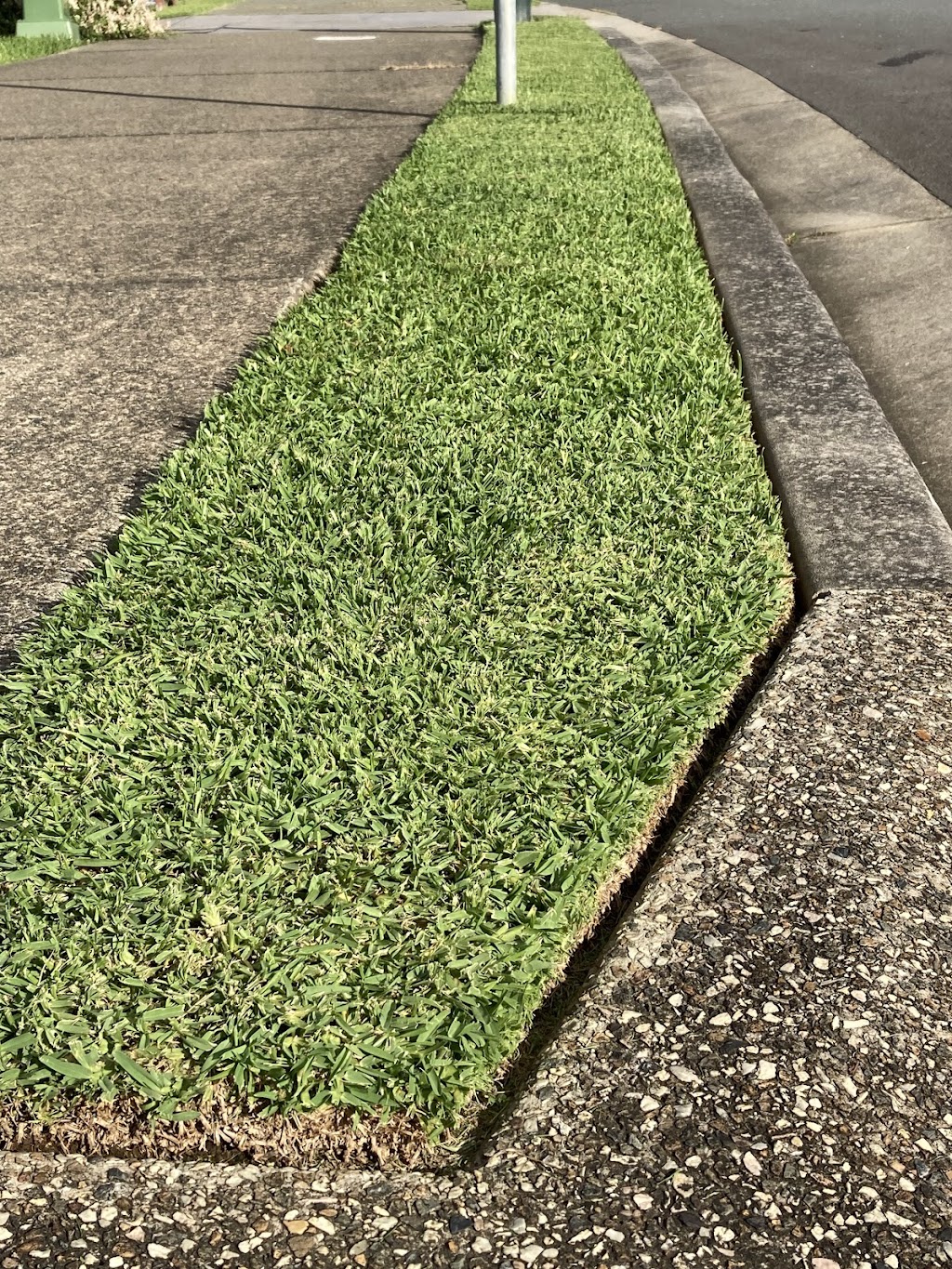 Murbah Mowing | Riveroak Dr, Murwillumbah NSW 2484, Australia | Phone: 0477 732 887