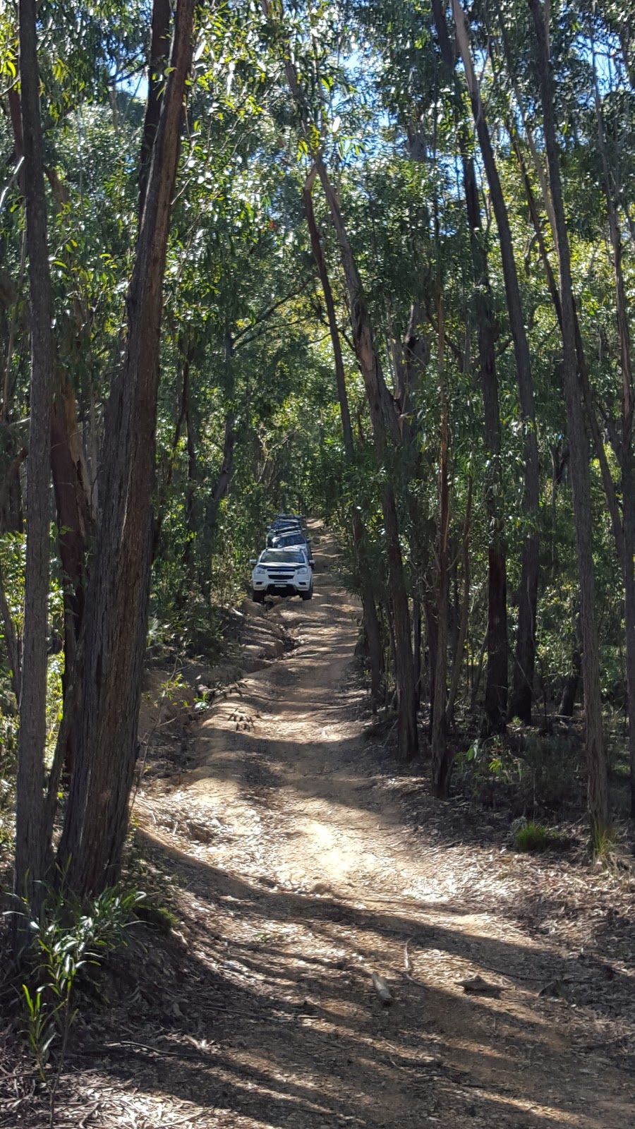 Bimberamala National Park | park | Yadboro NSW 2539, Australia