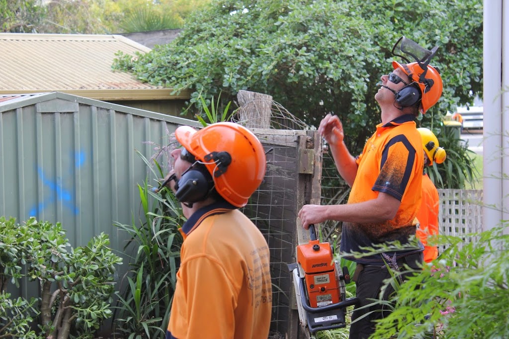 Cut It Right Tree Service | 147 Cadles Rd, Carrum Downs VIC 3201, Australia | Phone: 0415 776 062