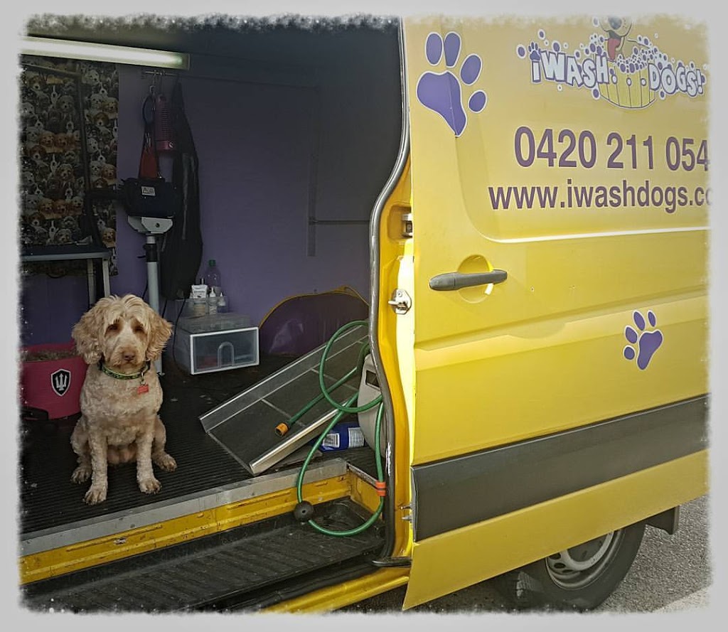 iWash . . . Dogs! | 4 Amadeus St, Elanora QLD 4221, Australia | Phone: 0420 211 054