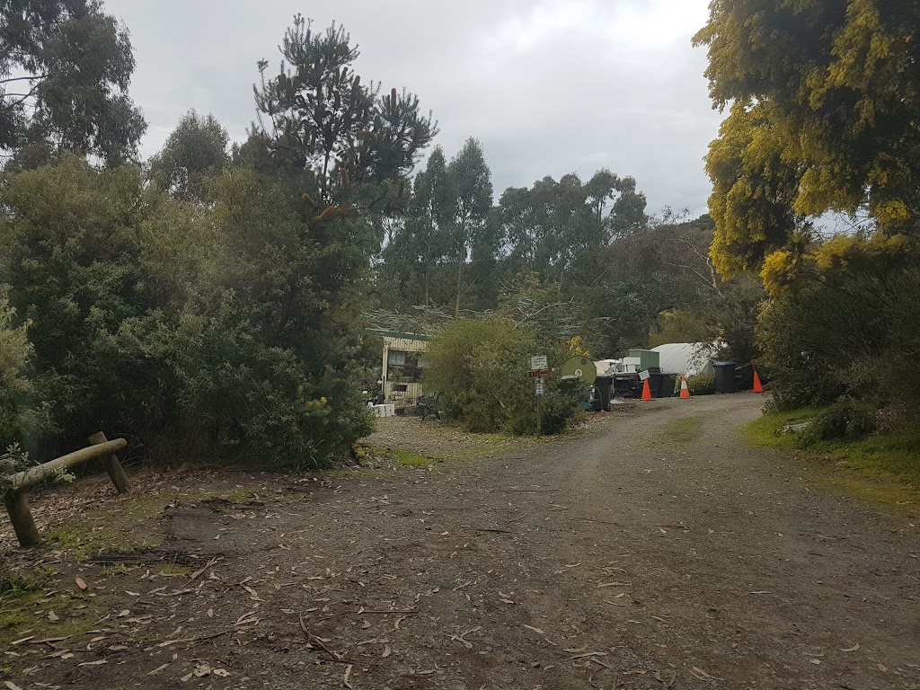 Blue Gum Forest Nursery | 285 Korumburra-Warragul Rd, Korumburra VIC 3950, Australia | Phone: 0408 595 450