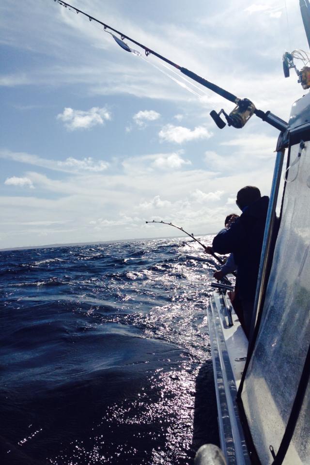 Fish On Fishing Charters Mornington Peninsula and Portland | 31 Thurloo Dr, Safety Beach VIC 3936, Australia | Phone: 0473 062 772